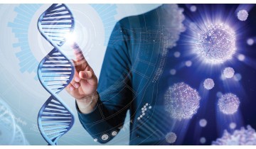Anti-Aging Mechanisms of NAD+